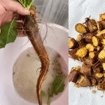 How to Turn Walnut Husks into Natural Ink and Dye